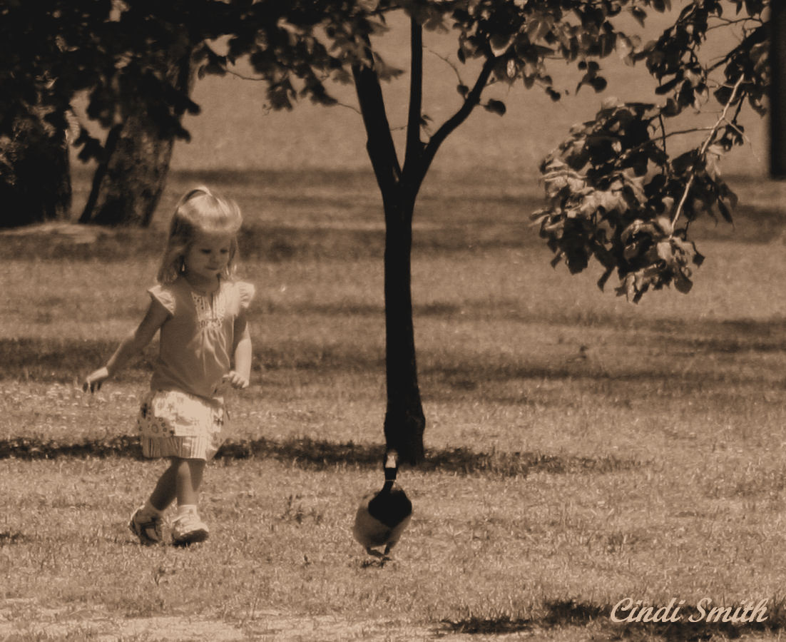 LITTLE GIRL CHASING THE DUCK