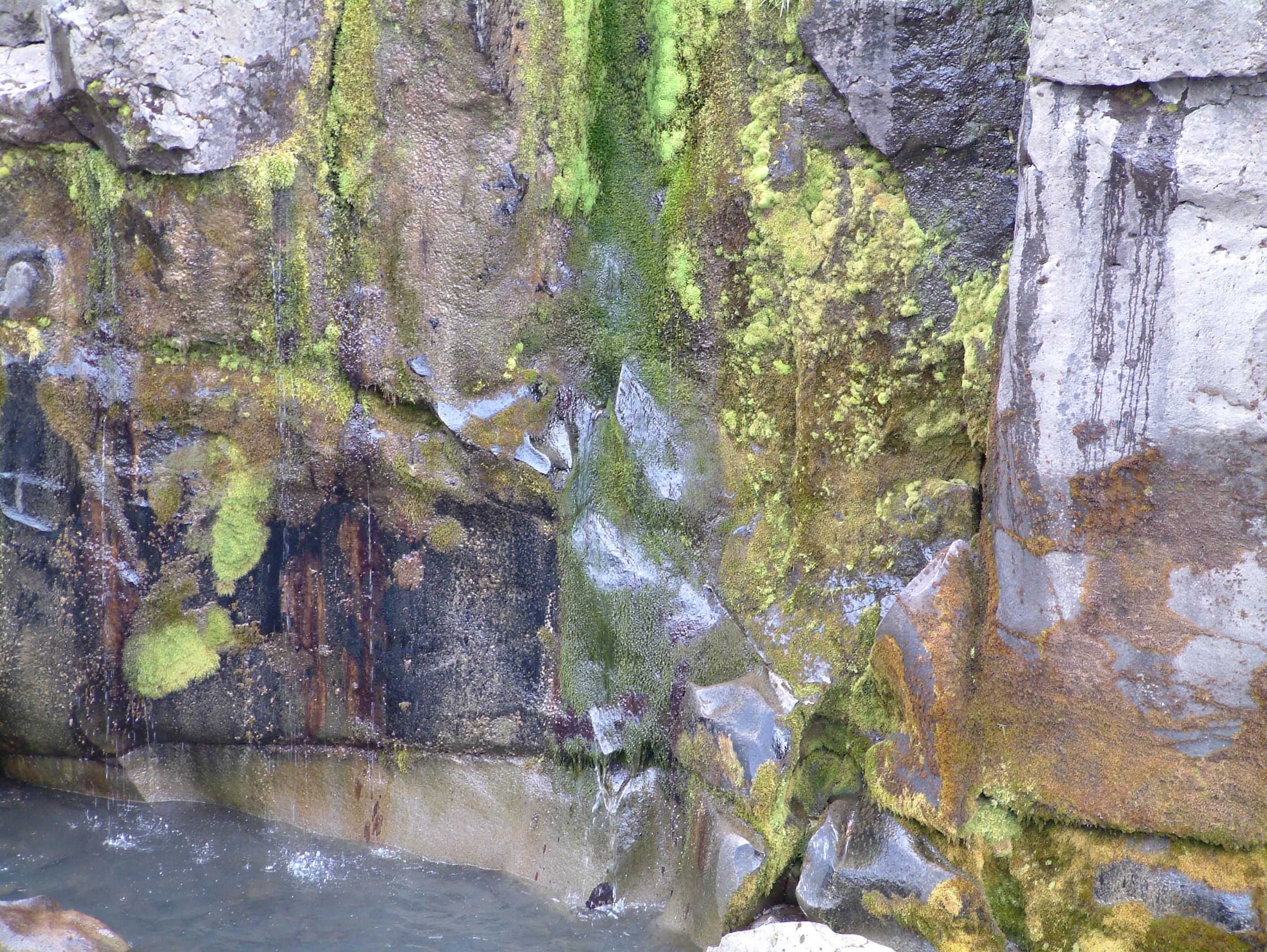 Moss growing on the face of the rocks because of the water leaking through it