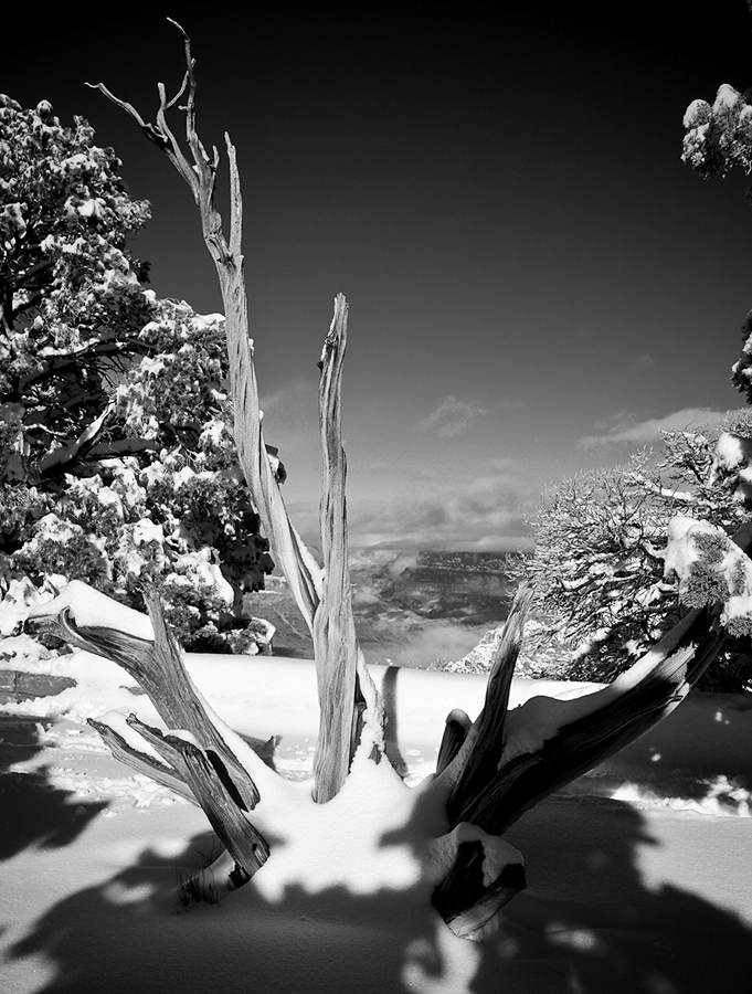 Grand Canyon in Black & White