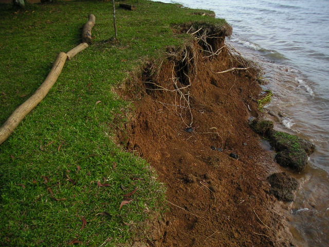 PICT5711.JPG