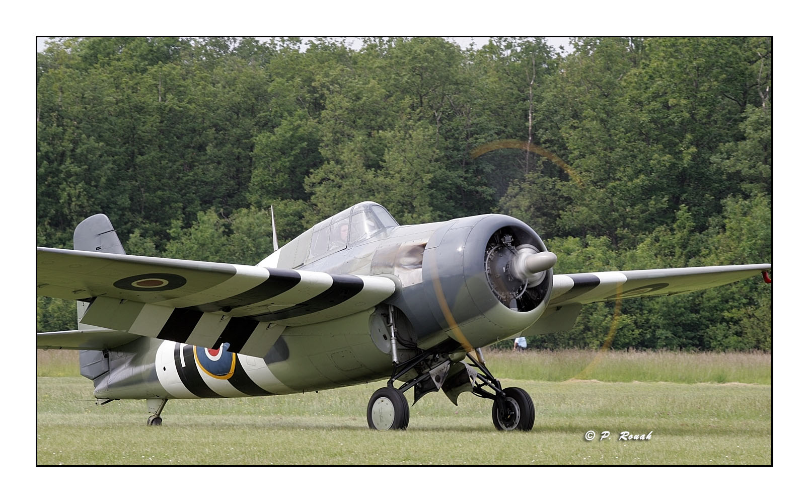 RAF - Grumman F4F Wildcat