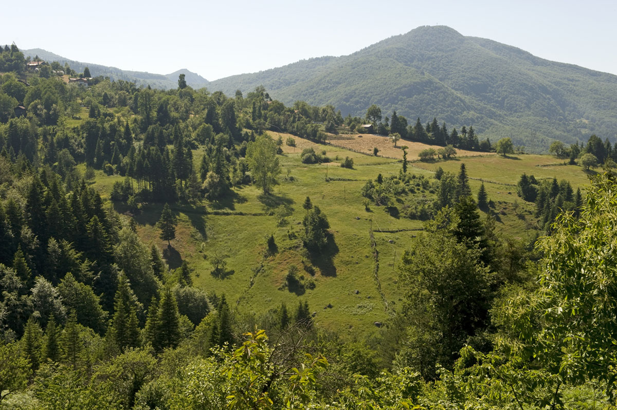 Inebolu june 2009 1938.jpg