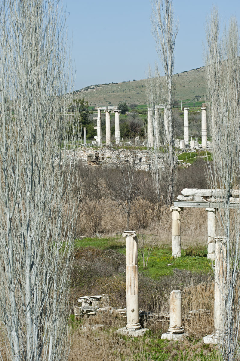 Aphrodisias March 2011 4385.jpg