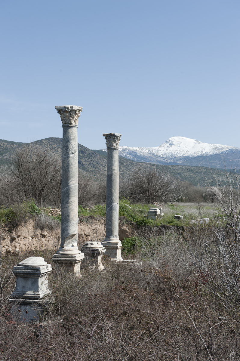 Aphrodisias March 2011 4411.jpg