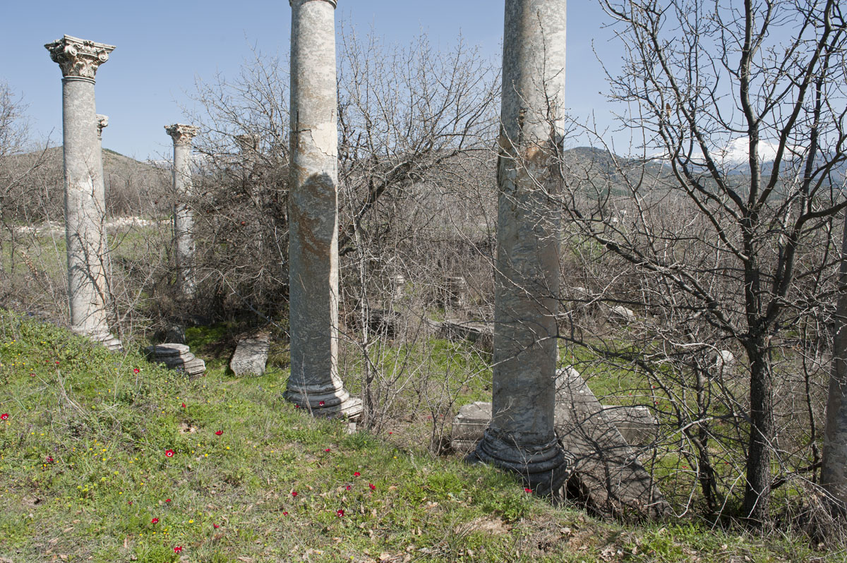 Aphrodisias March 2011 4414.jpg