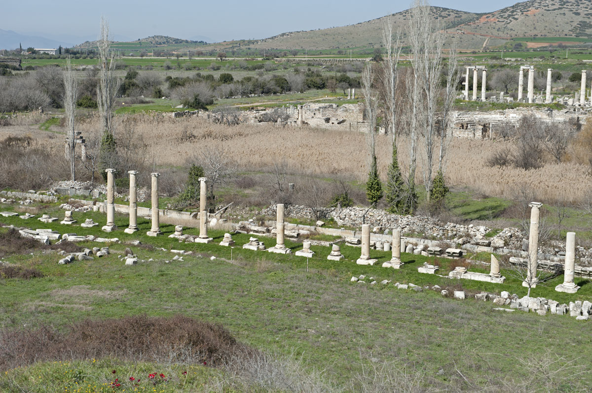 Aphrodisias March 2011 4446.jpg