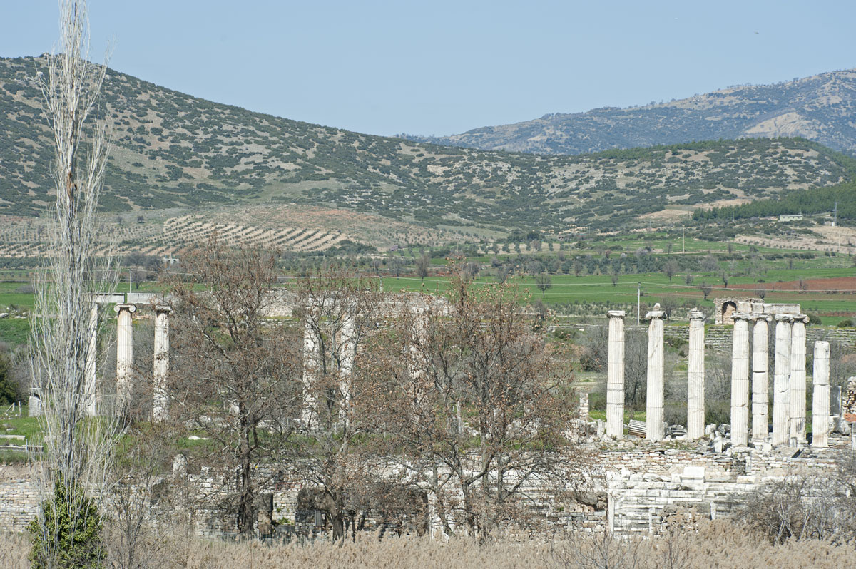 Aphrodisias March 2011 4449.jpg