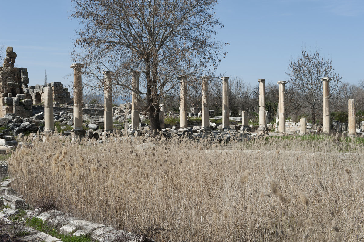 Aphrodisias March 2011 4456.jpg