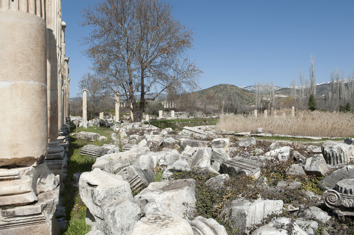 Aphrodisias March 2011 4466.jpg