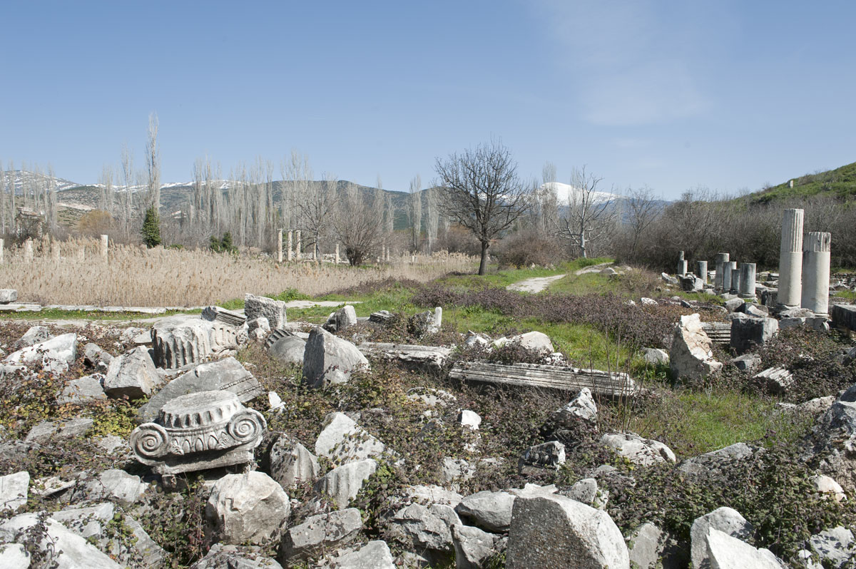 Aphrodisias March 2011 4469.jpg