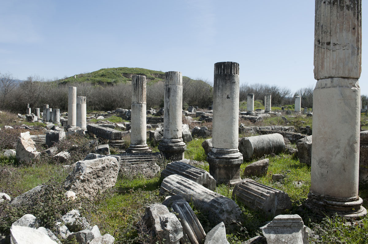 Aphrodisias March 2011 4473.jpg