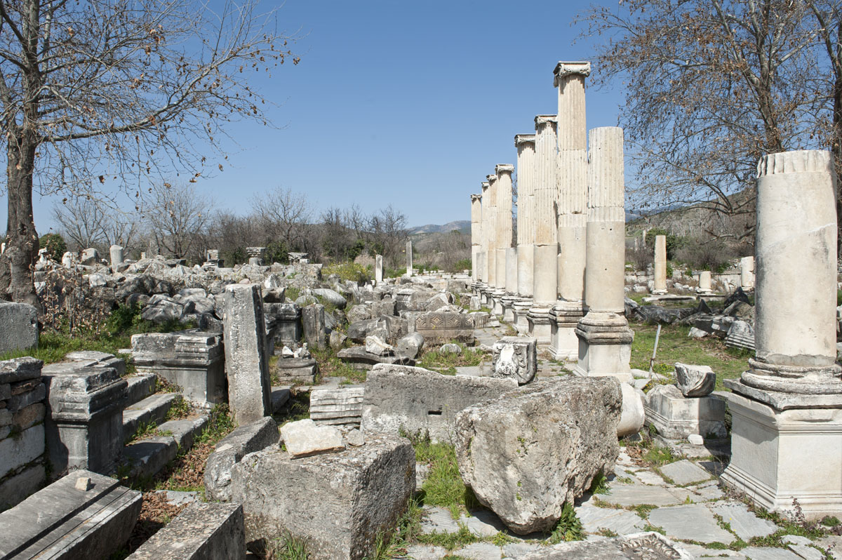 Aphrodisias March 2011 4477.jpg