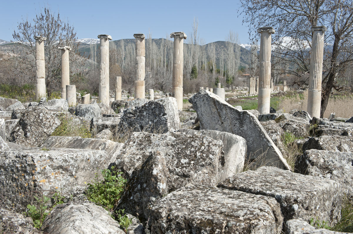 Aphrodisias March 2011 4482.jpg
