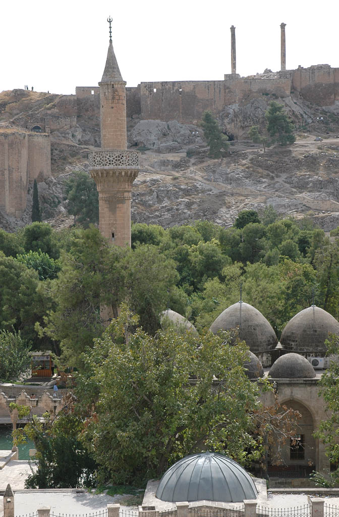 Şanlıurfa at Ponds 3841