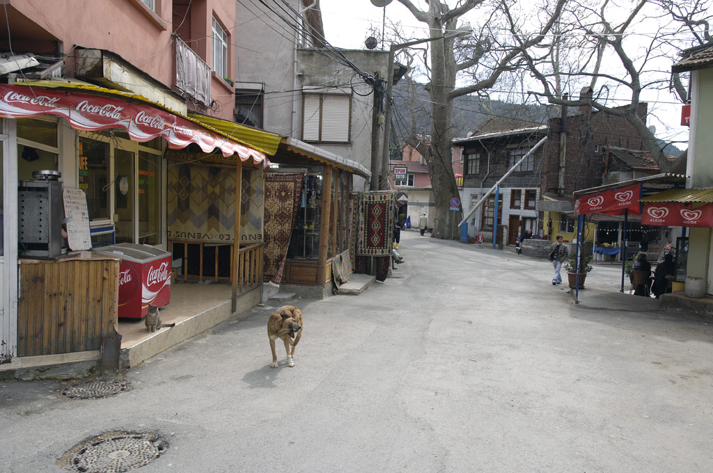 Bosporus trip 0383