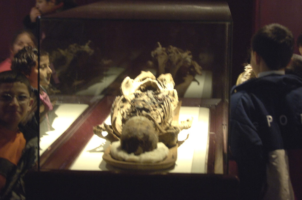 Istanbul Archaeological Museum 1203