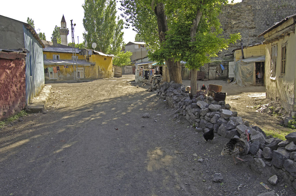 Kars 3753.jpg