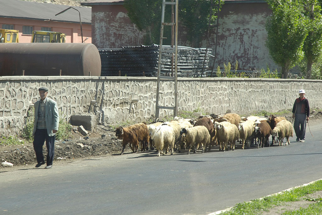 Kars 3827b.jpg