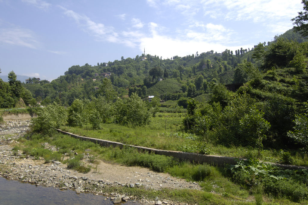 Cayeli 4658.jpg