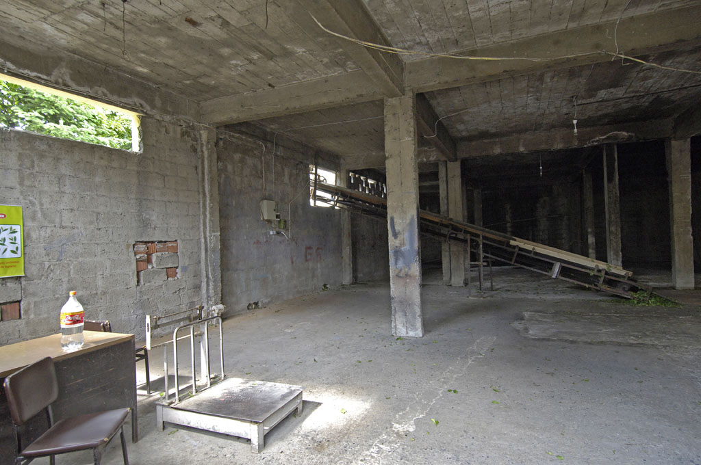 Rize 4319.jpg