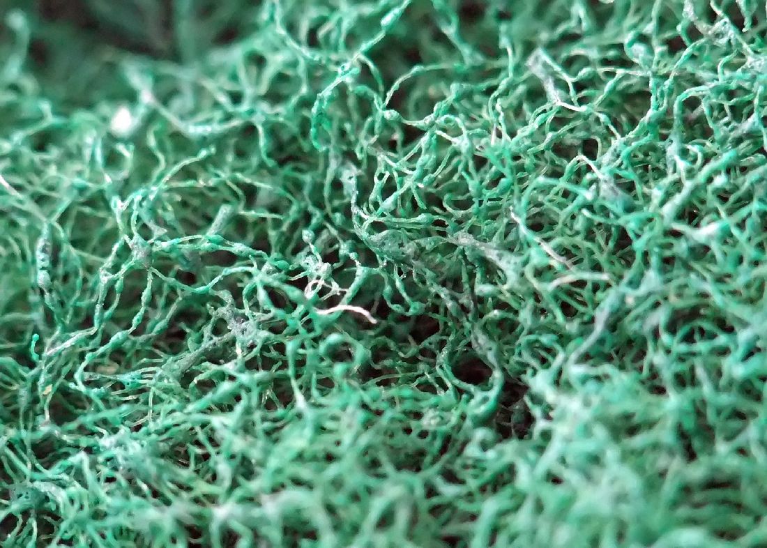 Scrubbing Side of a Scrubbing Sponge