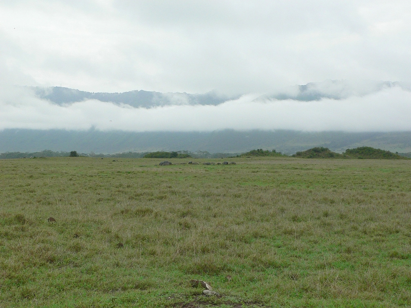  A View from the Crater floor