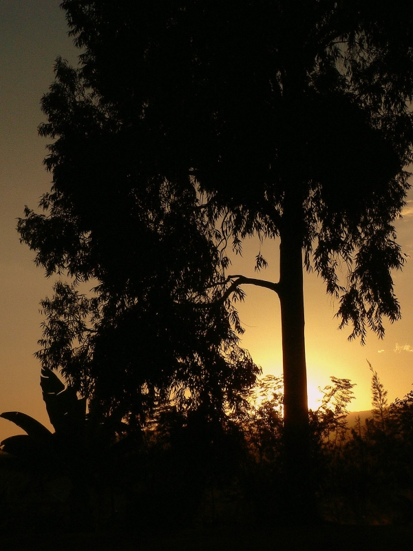 Sunset from our camp fire