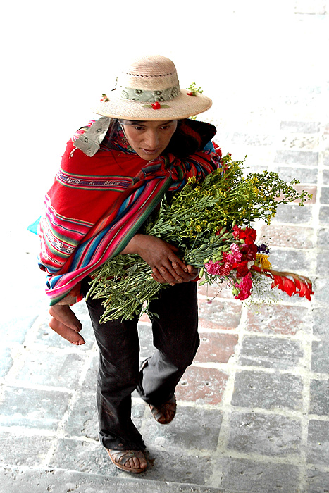 Flowers for Sale