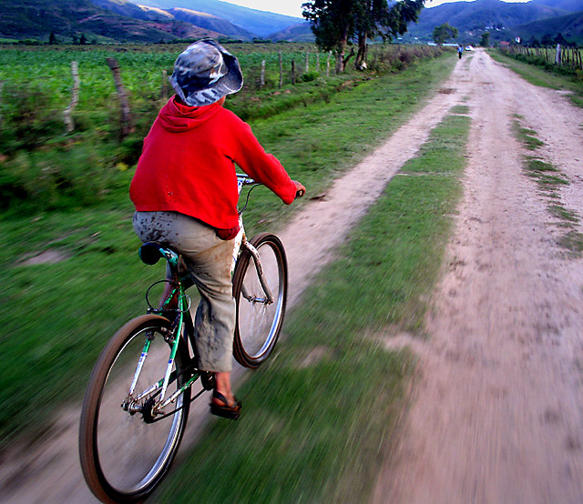 Free Wheeling