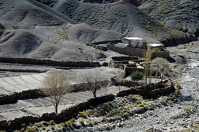 Potosi Farm