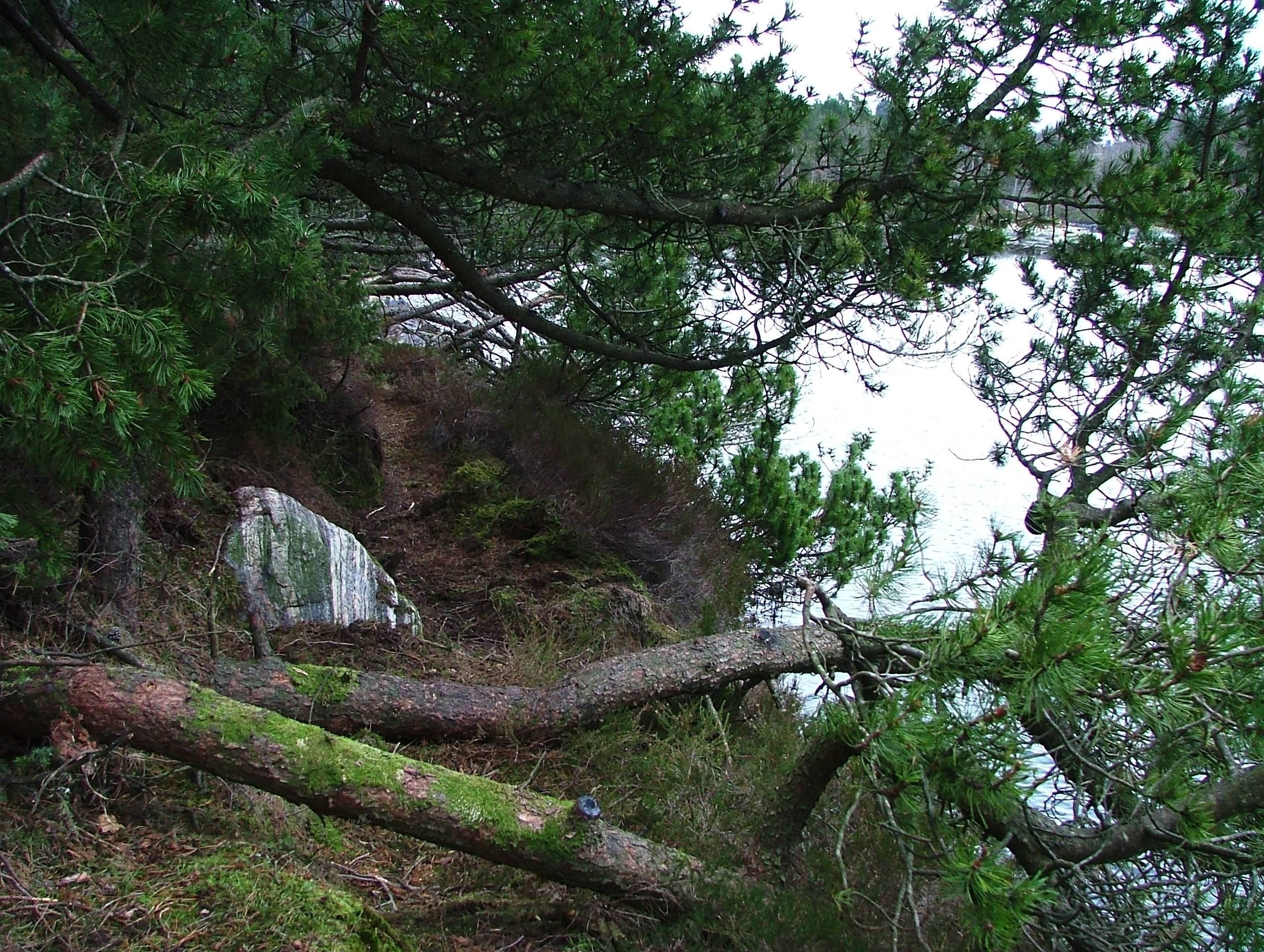 Peace at Bergfjord