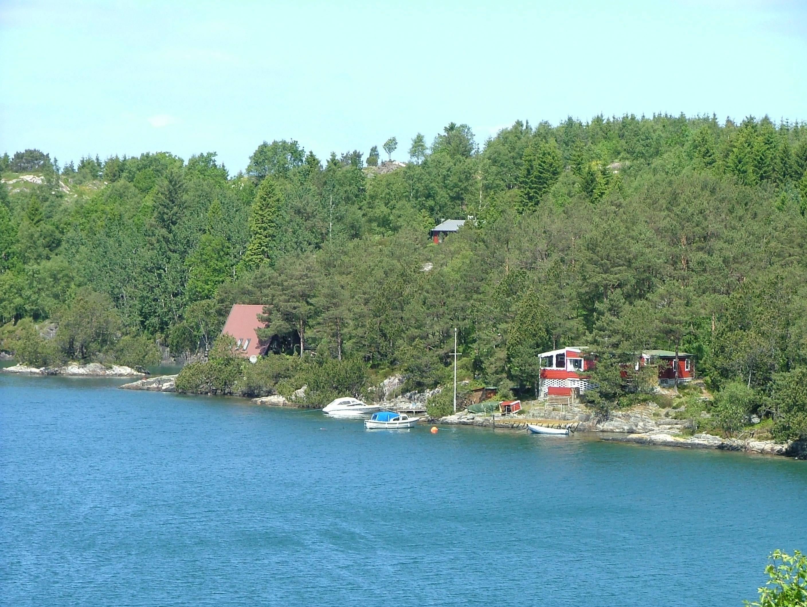 Bergfjord