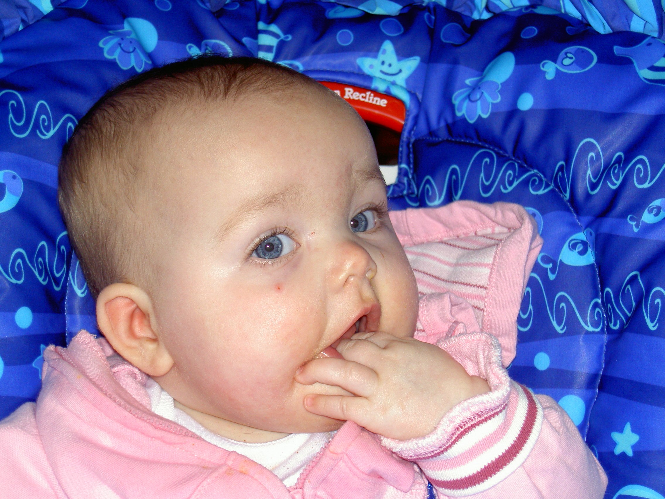 February 17 2006 001.jpg