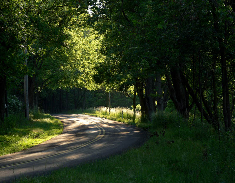 The road home