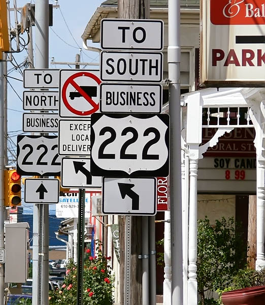 Signsn Roses