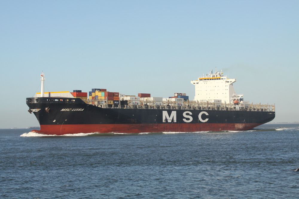 MSC Luisa