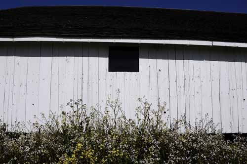 Pt. Reyes - Bodega Bay  24
