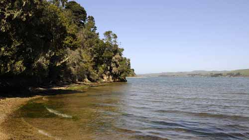 Pt. Reyes - Bodega Bay  36