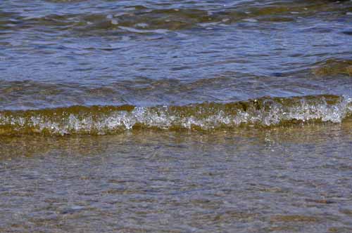 Pt. Reyes - Bodega Bay  38