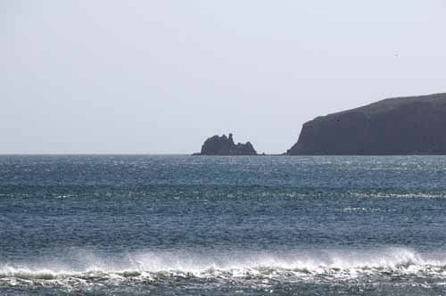 Pt. Reyes - Bodega Bay  40