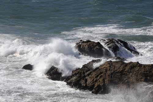 Pt. Reyes - Bodega Bay  105
