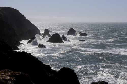 Pt. Reyes - Bodega Bay  109