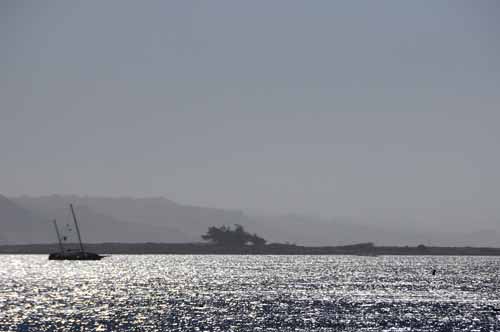 Pt. Reyes - Bodega Bay  110