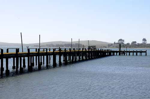 Pt. Reyes - Bodega Bay  111