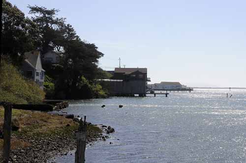 Pt. Reyes - Bodega Bay  113