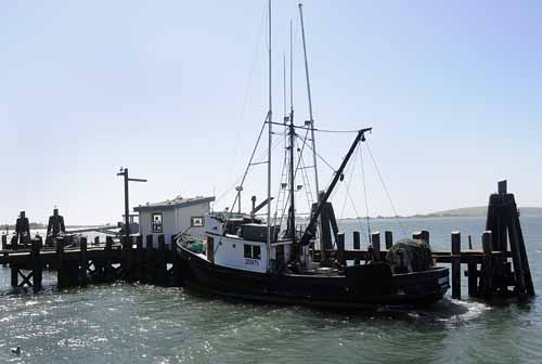 Pt. Reyes - Bodega Bay  117