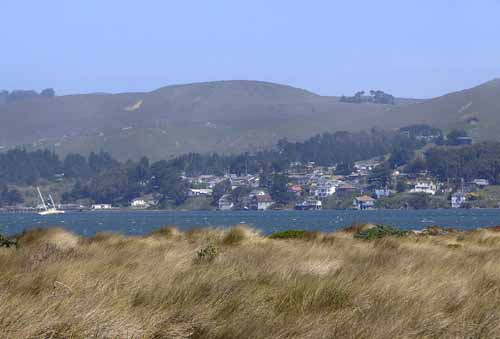 Pt. Reyes - Bodega Bay  118