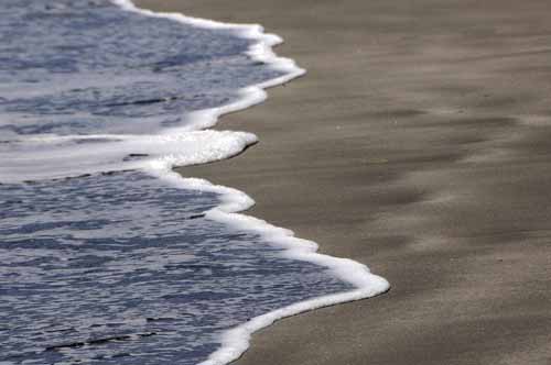 Pt. Reyes - Bodega Bay  120