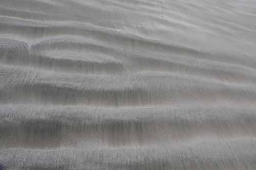 Pt. Reyes - Bodega Bay  131