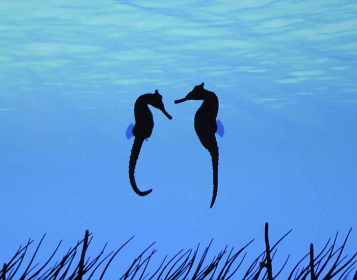 Dancing Seahorses